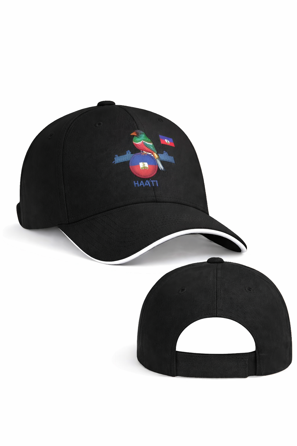 Casquette noire-oiseau coloré