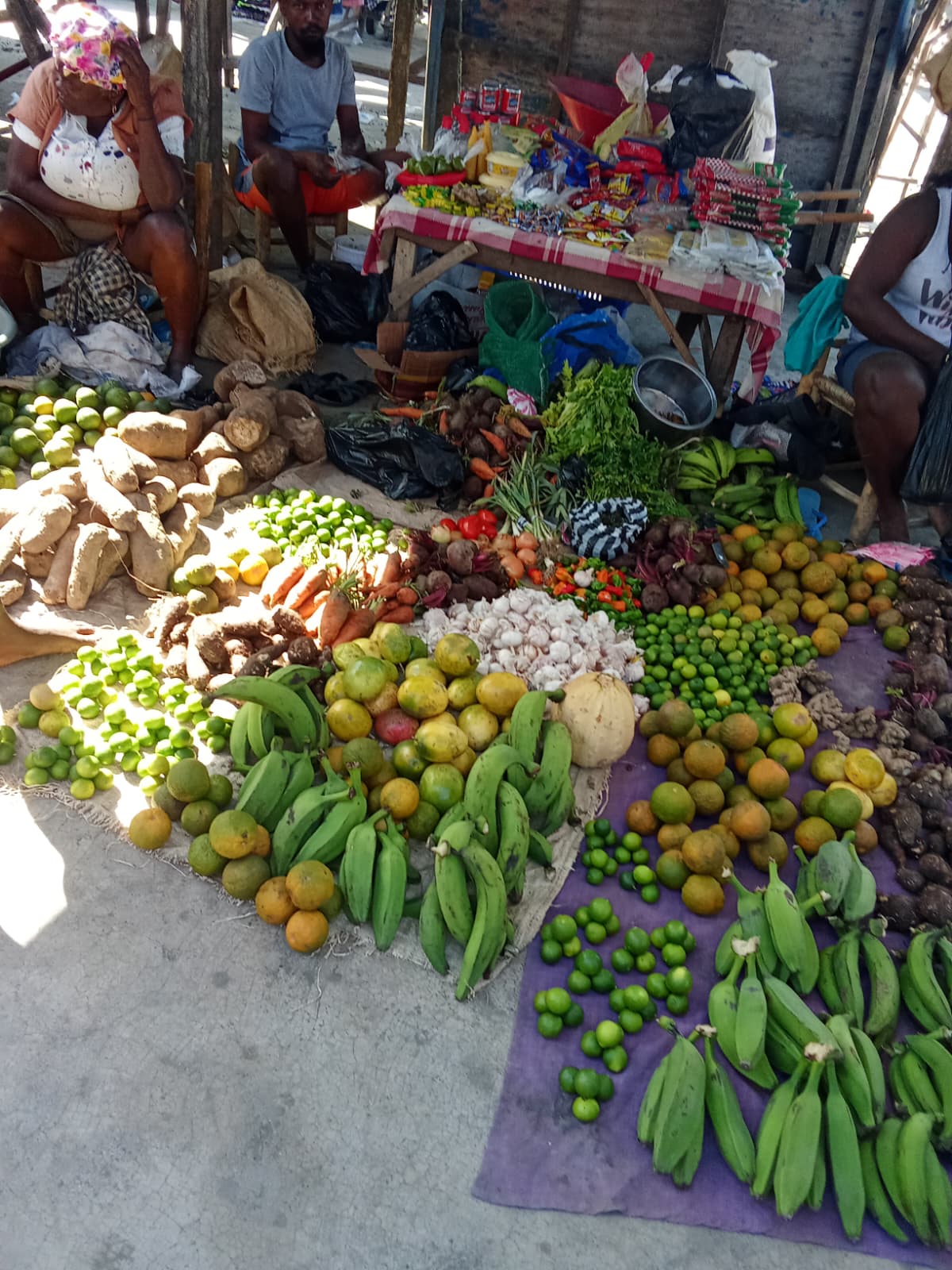 Départs organisés – Retour sur l’île Hispaniola