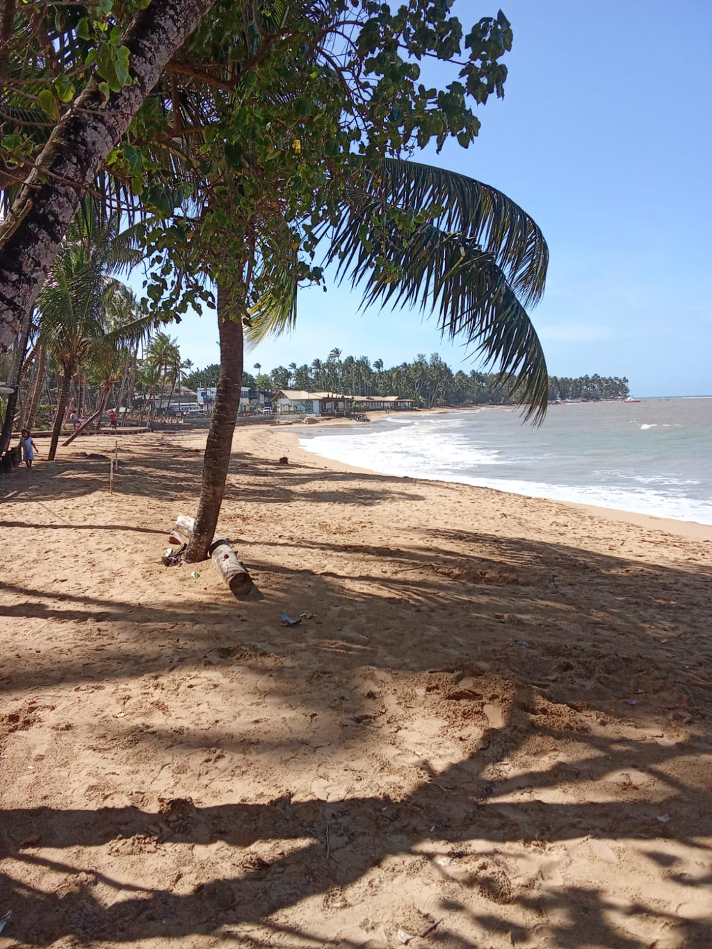Départs organisés – Retour sur l’île Hispaniola