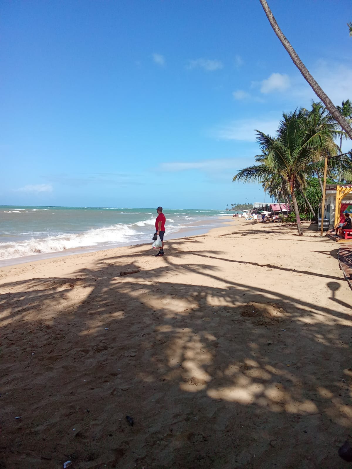 Départs organisés – Retour sur l’île Hispaniola