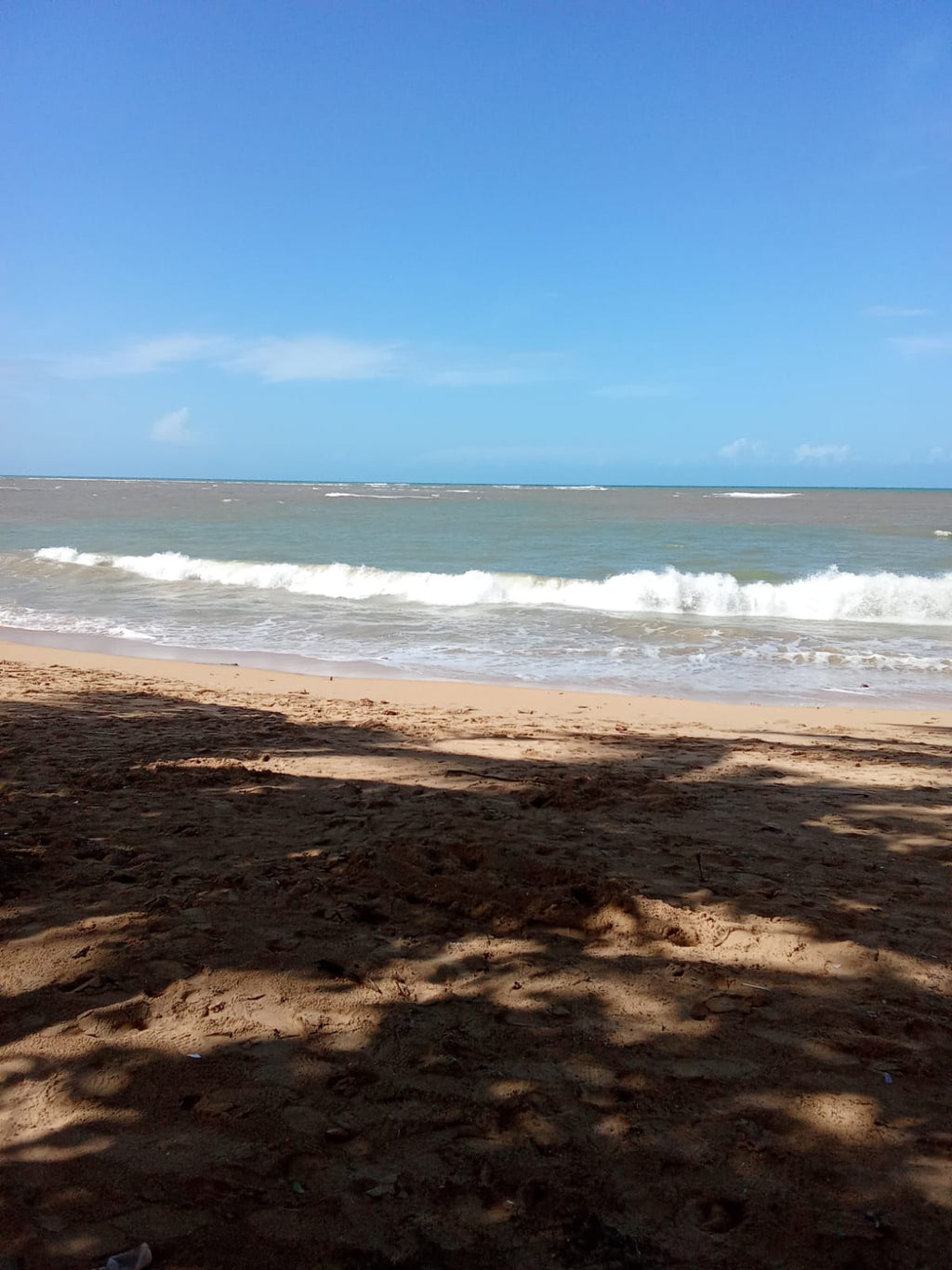 Départs organisés – Retour sur l’île Hispaniola